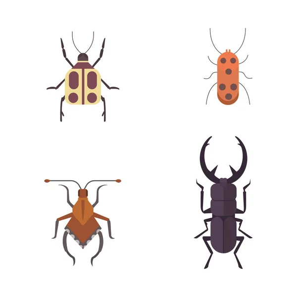 Set of insects flat style vector design icons. Collection nature beetle and zoology cartoon illustration. Bug icon wildlife concept — Stock Vector