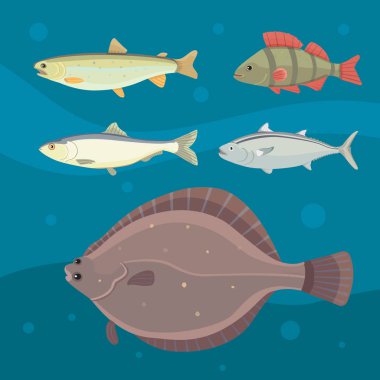 İzole akarsu balığıdır. Tatlı su deniz karikatür balıklar kümesi. Fauna okyanus vektör çizim