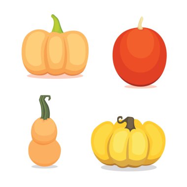 Vectpr çizgi film izole kabak ayarla