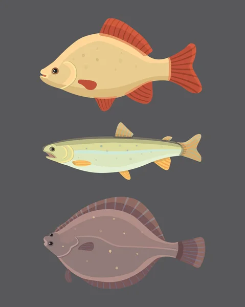 Geïsoleerde riviervis. Set van zoetwater zee cartoon vissen. Fauna Oceaan vectorillustratie — Stockvector