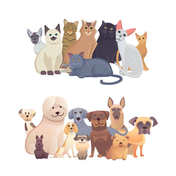 Set confine cani e gatti, vista frontale. Animali domestici raccolta di illustrazioni dei cartoni animati — Vettoriale Stock