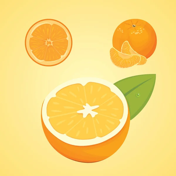 Vector collectie van verse rijpe sinaasappels en mandarijnen met bladeren. vector oranje. — Stockvector