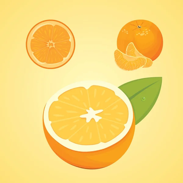 Colección vectorial de naranjas frescas maduras y mandarinas con hojas. vector naranja . — Archivo Imágenes Vectoriales