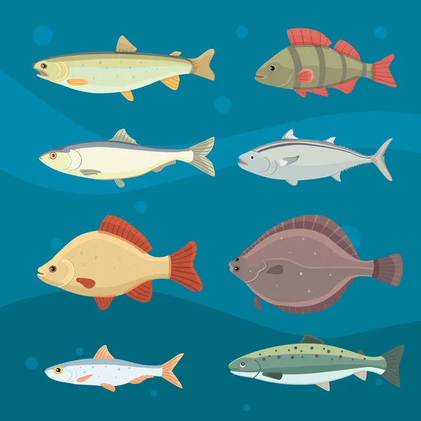 Peces de río aislados. Conjunto de peces de dibujos animados de agua dulce del mar. Fauna océano vector ilustración — Vector de stock