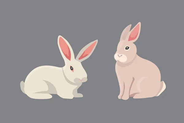 Vector ilustración de dibujos animados conejos diferentes razas. Bonitos bunnys de diseño veterinario. — Archivo Imágenes Vectoriales