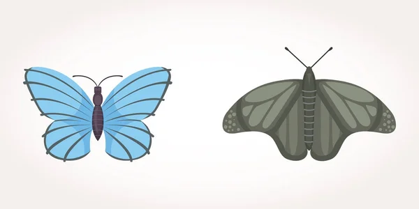 Σύνολο πολύχρωμο διάνυσμα πεταλούδα σχεδιασμό εικονογράφηση. έντομο το καλοκαίρι — Διανυσματικό Αρχείο