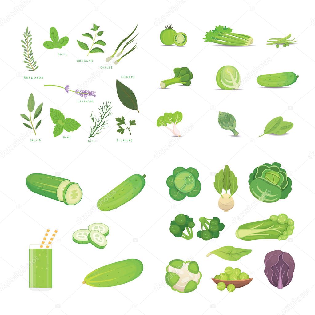 Green vegetables and herbes. Vegeterian Fresh food vector cartoon illustrations.