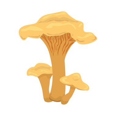 Orman yenilebilir mantar düz vektör illüstrasyon izole