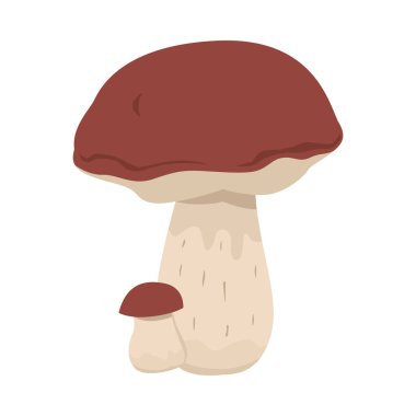 Orman yenilebilir mantar düz vektör illüstrasyon izole
