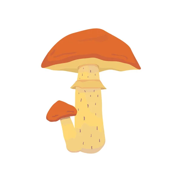 Floresta comestível cogumelo plana vetor ilustração isolado — Vetor de Stock
