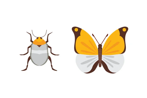 Conjunto de diferentes insectos en estilo de dibujos animados. Mariposa y escarabajo . — Vector de stock