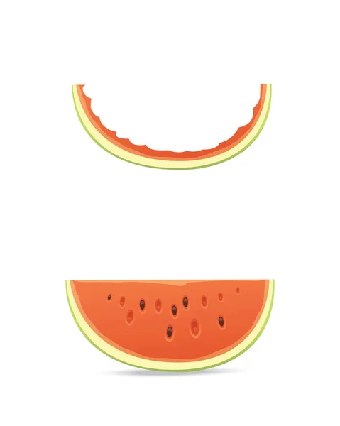 Fräsch och saftig röd vattenmelon stubbe och skivor. Äta tropiska frukter vattenmeloner. — Stock vektor
