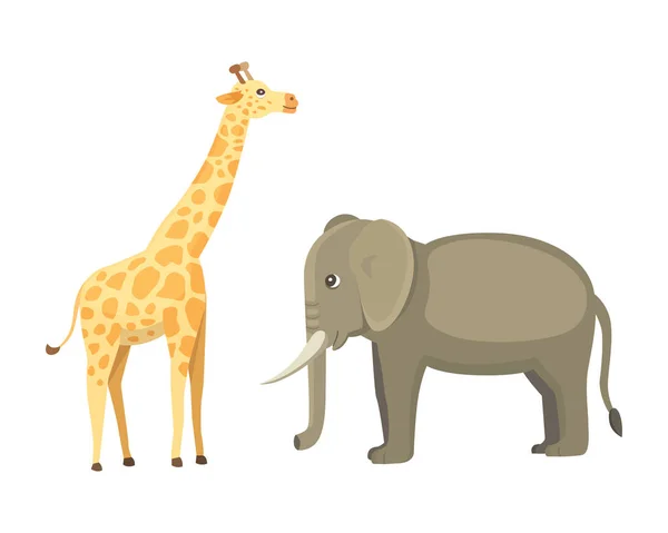 Giraffe en olifant vector cartoon Afrikaanse dieren — Stockvector