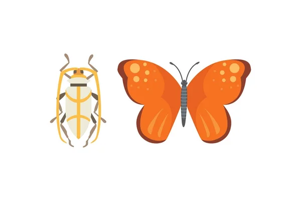 Набор различных насекомых в мультяшном стиле. Бабочка и жук . — стоковый вектор
