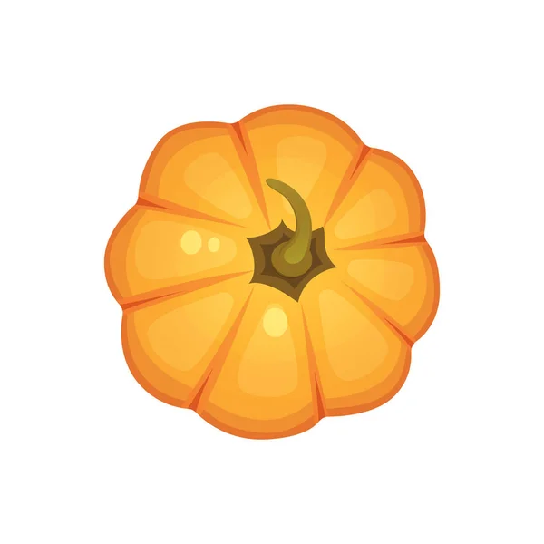 Oranje pompoen vectorillustratie. Herfst halloween plantaardige. — Stockvector