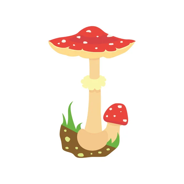 Champignon toxique Amanita, vecteur isolé sur fond blanc — Image vectorielle