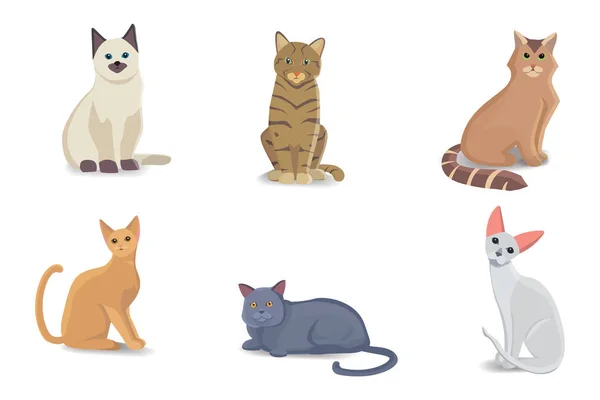 Coleção Gatos de raças diferentes. Vetor isolado gato no fundo branco. Animais domésticos ou animais de estimação. Fanny gatinhos rostos — Vetor de Stock