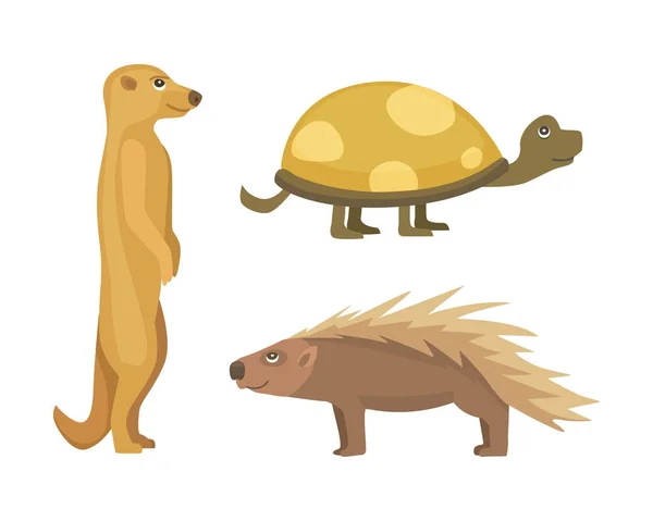 Africká zvířata. Želví kreslené vektorové ilustrace izolované — Stockový vektor