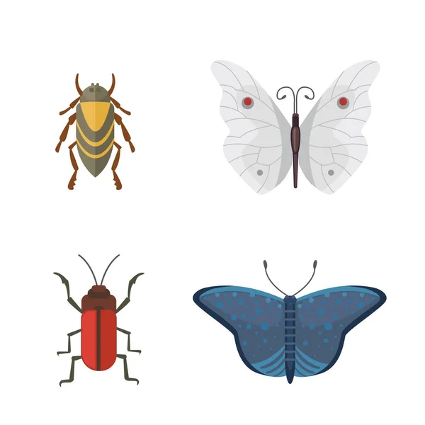 Zestaw różnych owadów w stylu cartoon. Kolekcję motyli i chrząszczy. — Wektor stockowy