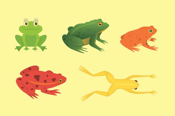 ImprimirConjunto de anfibios exóticos. Ranas en diferentes estilos Dibujos animados Vector Ilustración aislado. animales tropicales — Vector de stock