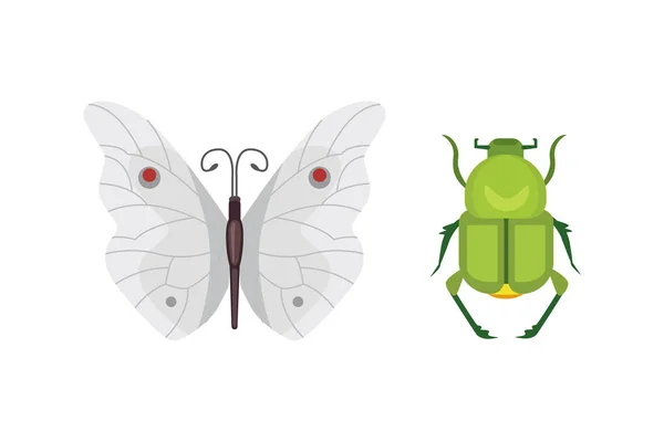 Ensemble de différents insectes dans le style de dessin animé. Collection papillons et coléoptères . — Image vectorielle