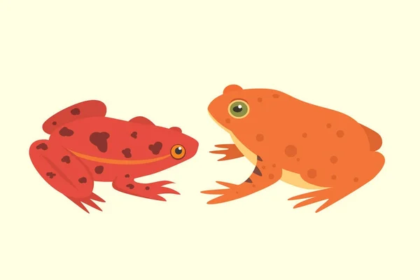 Set de anfibios exóticos. Ranas en diferentes estilos Dibujos animados Vector Ilustración aislado. animales tropicales — Vector de stock