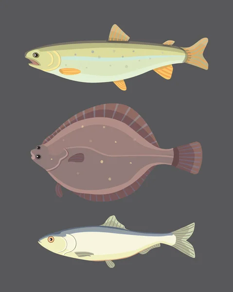 Geïsoleerde riviervis. Set van zoetwater zee cartoon vissen. Fauna Oceaan vectorillustratie — Stockvector