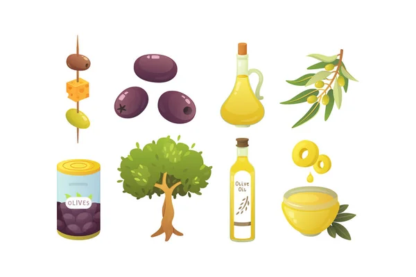 Zestaw owoców oliwki. Butelka oliwy z oliwek, drzewo gałąź ilustracja wektorowa w stylu cartoon. — Wektor stockowy