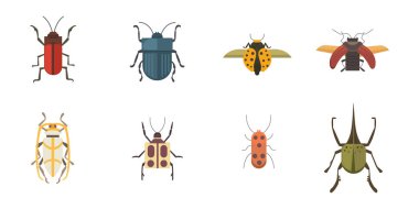 Böcekler düz stil vektör tasarım simgeler kümesi. Koleksiyon doğa böceği ve zooloji illüstrasyon karikatür. Hata simgesi yaban hayatı kavramı