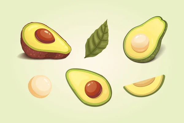 Set realistic fresh avocado fruit. Slice and whole avocados. Vegan food vector illustration in cartoon style. — Stock Vector