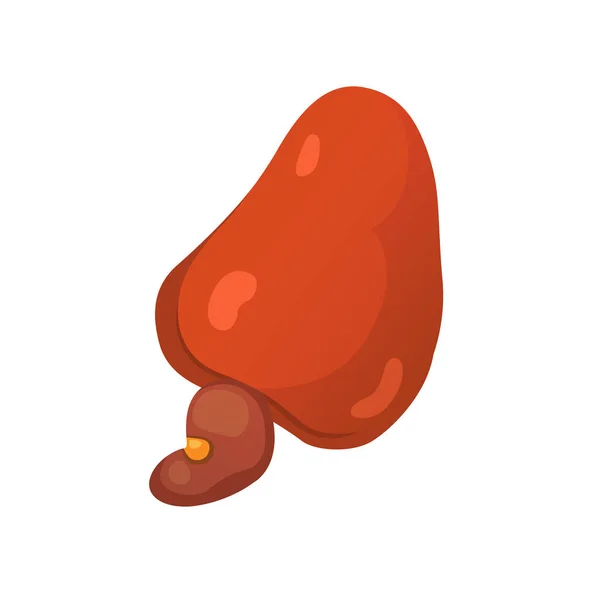 Cashew nut vector illustration in cartoon style. Органические продукты питания . — стоковый вектор