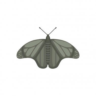 renkli kelebek vektör tasarlamak. Yaz böcek