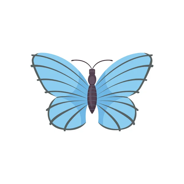 화려한 나비 벡터 디자인 일러스트입니다. 여름 곤충 — 스톡 벡터