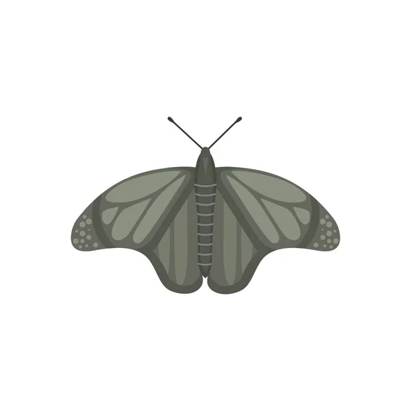 Kleurrijke Butterfly ontwerp vectorillustratie. zomer insect — Stockvector