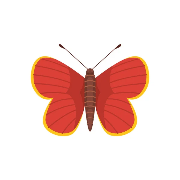 Bunte Schmetterling Vektor Design Illustration. Sommerinsekt — Stockvektor