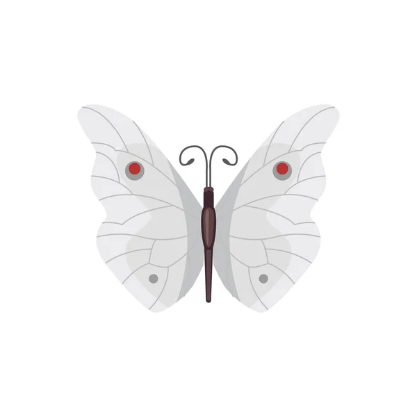 Illustration de design vectoriel papillon coloré. insecte d'été — Image vectorielle
