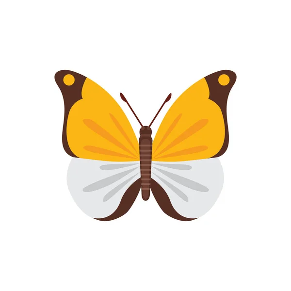 Kleurrijke Butterfly ontwerp vectorillustratie. zomer insect — Stockvector