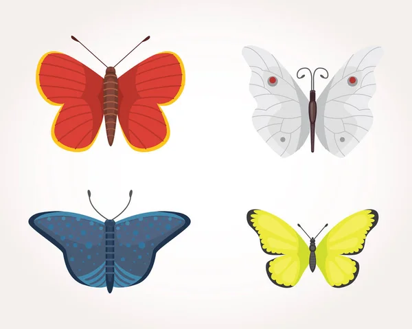 Conjunto de colorido Mariposa Vector Diseño Ilustración. insecto de verano — Vector de stock