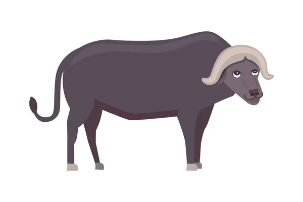 Illustration vectorielle dessin animé Buffalo isolé — Image vectorielle