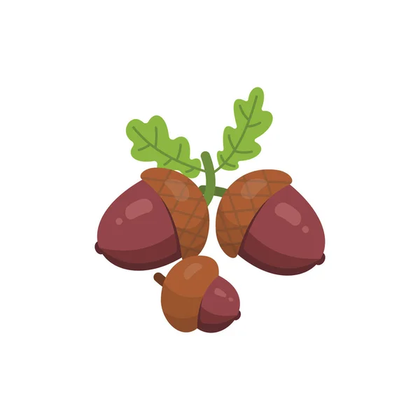 Acorn vetor ícone nozes em estilo cartoon. Coleta de comida de noz . — Vetor de Stock