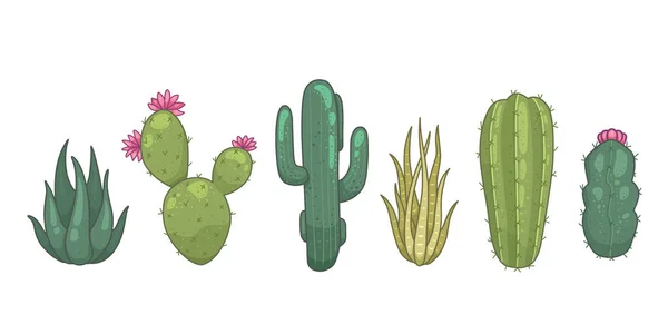 Cactus y plantas suculentas vector iconos en estilo de dibujos animados. Inicio plantas cactus aisladas sobre fondo blanco. — Archivo Imágenes Vectoriales