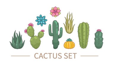 Kaktüs ve sulu bitki vektör simgeleri çizgi film tarzında. Ev bitkileri kaktüsleri beyaz arkaplanda izole edilmiş.