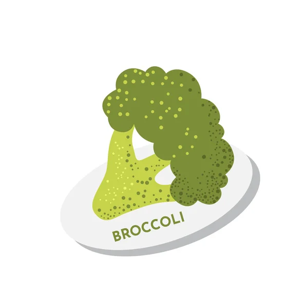 Rå färsk strukturerad broccoli isolerad på vit bakgrund. Vegansk hälsosam mat koncept vegetabiliskt på tallriken. — Stock vektor