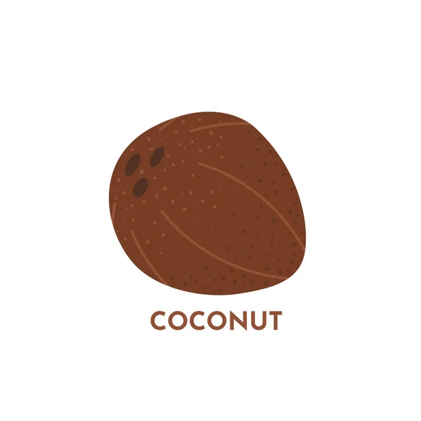 Kokosowe owoce wektor tropikalnej żywności ilustracji. Teksturowany cały kokos z izolacją na białym tle. Produkcja wegańska. — Wektor stockowy