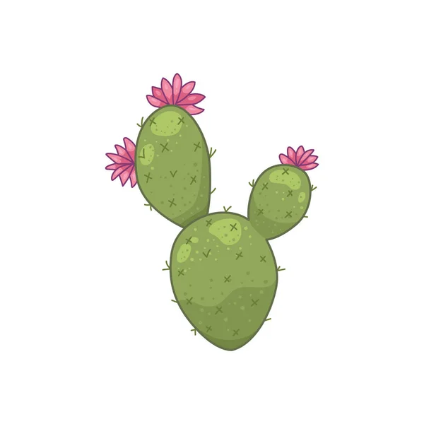 Kaktus växt vektor ikoner i tecknad stil. Hem kaktusar isolerad på vit bakgrund. — Stock vektor
