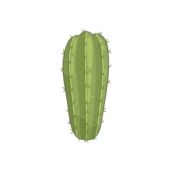 Kakteenpflanzen-Vektorsymbole im Cartoon-Stil. Kakteen isoliert auf weißem Hintergrund. — Stockvektor