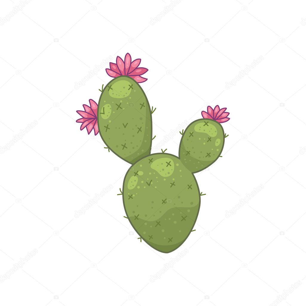 Cactus plant vector icons in cartoon style. Home cacti isolated on white background.