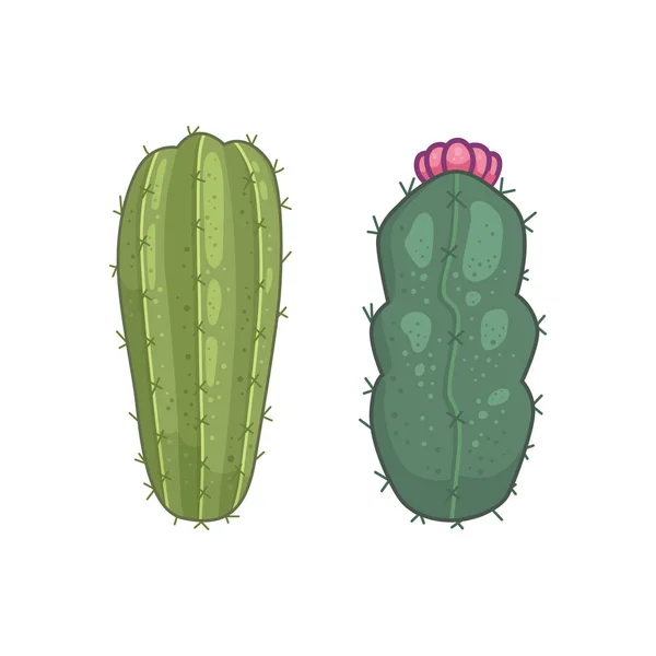 Cactos e plantas suculentas ícones vetoriais em estilo cartoon. Home plantas cactos isolados sobre fundo branco. — Vetor de Stock