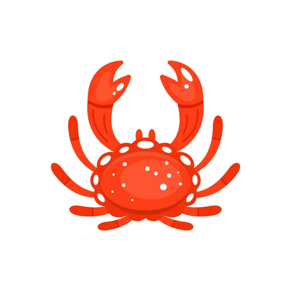 Dekorativní červená krabí vektorová ilustrace izolovaná na bílém. Mořské zvíře. — Stockový vektor
