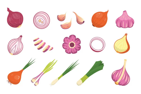 Cipolla e aglio diverse icone vettoriali set. Fresco cartone animato organico intero e affettato cipolla raccolta di verdure . — Vettoriale Stock